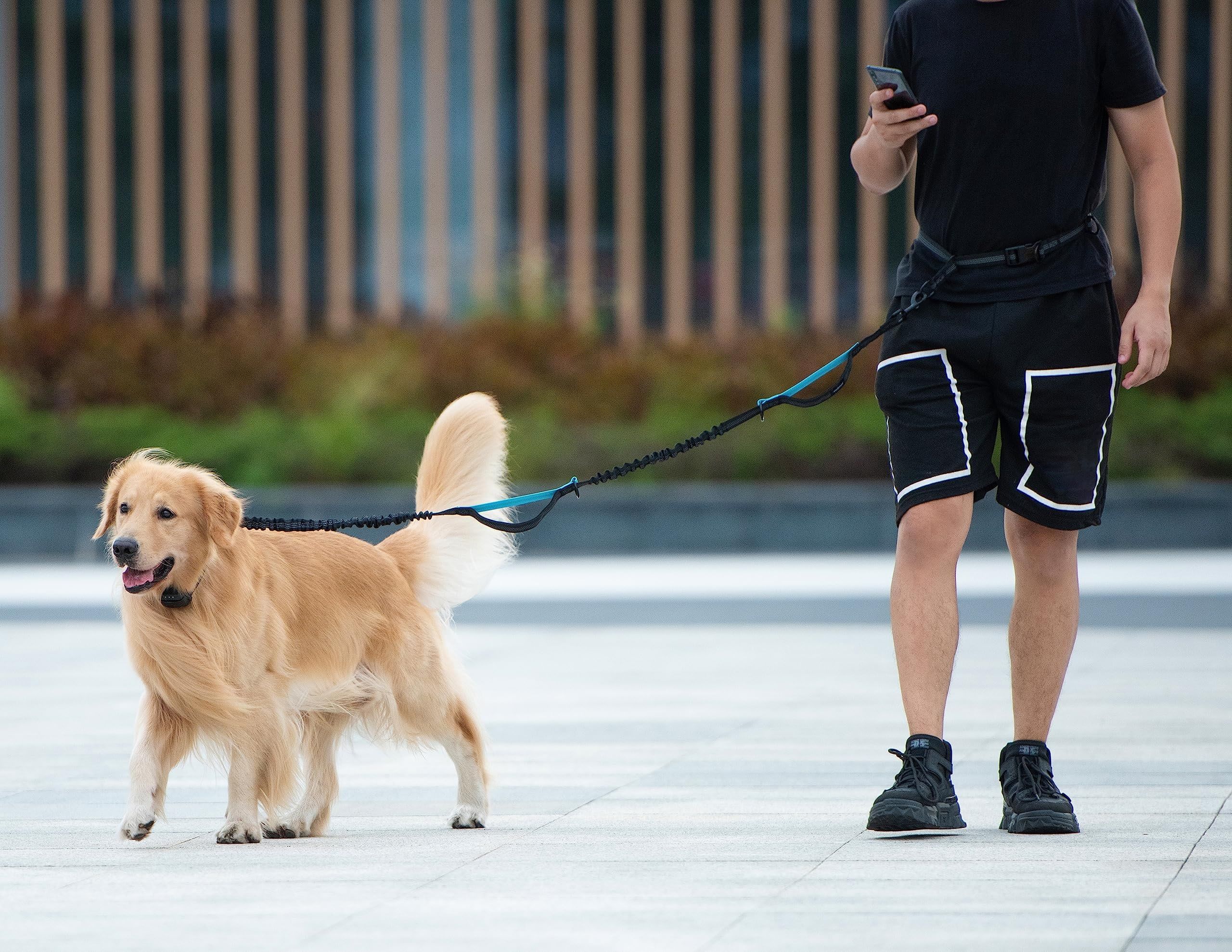 Hands-Free Dog Leash Set with Waist Belt and Storage Pouch view 11