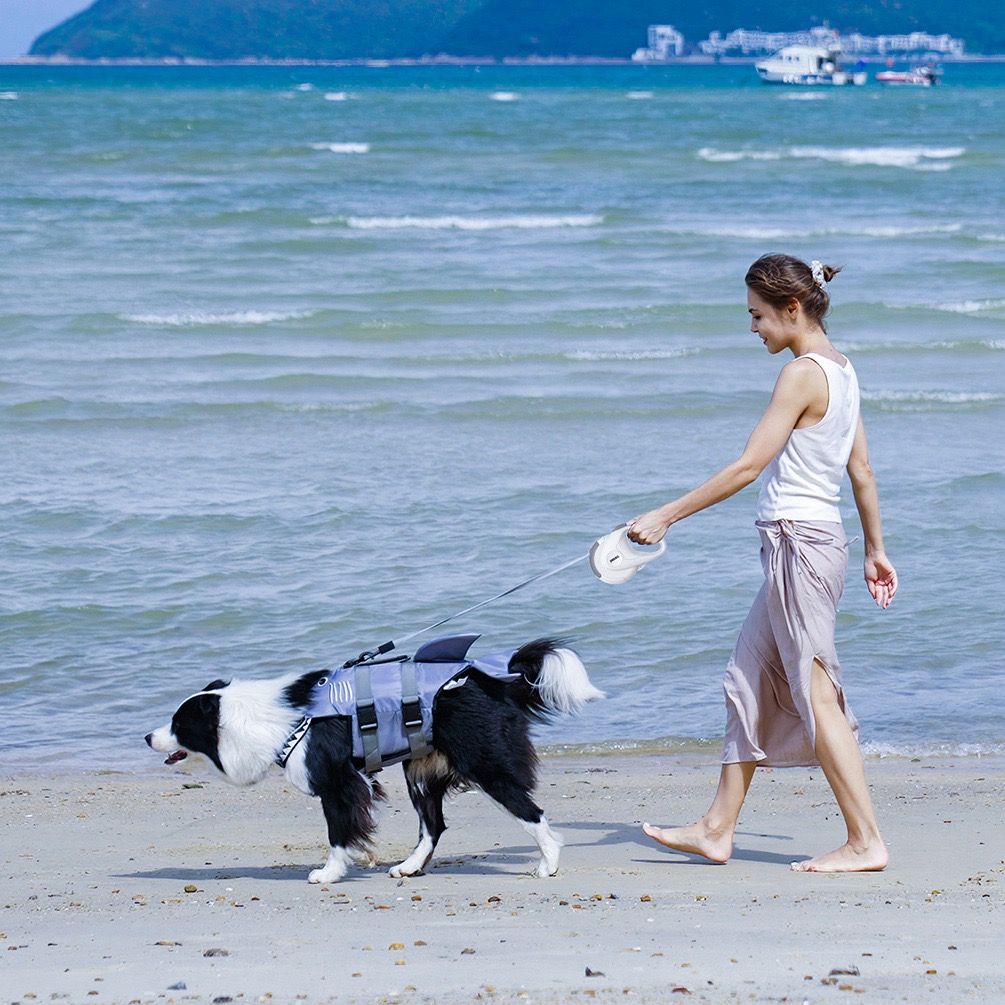 Retractable Dog Leash with Replaceable Rope view 8