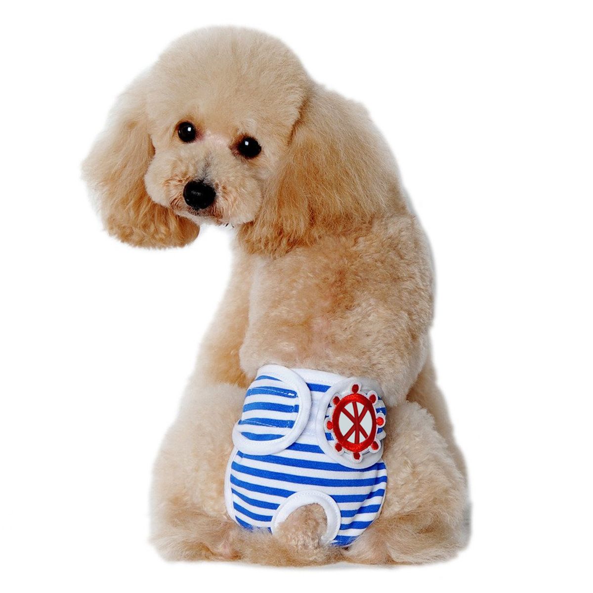 Washable Dog Physiological Underwear with Nautical Striped Design view 13