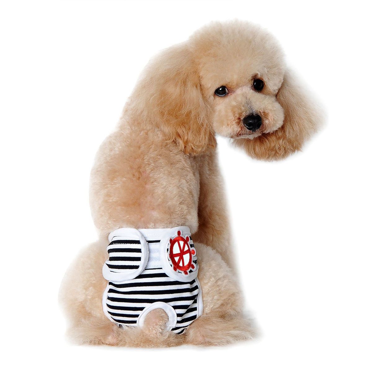 Washable Dog Physiological Underwear with Nautical Striped Design — image 1