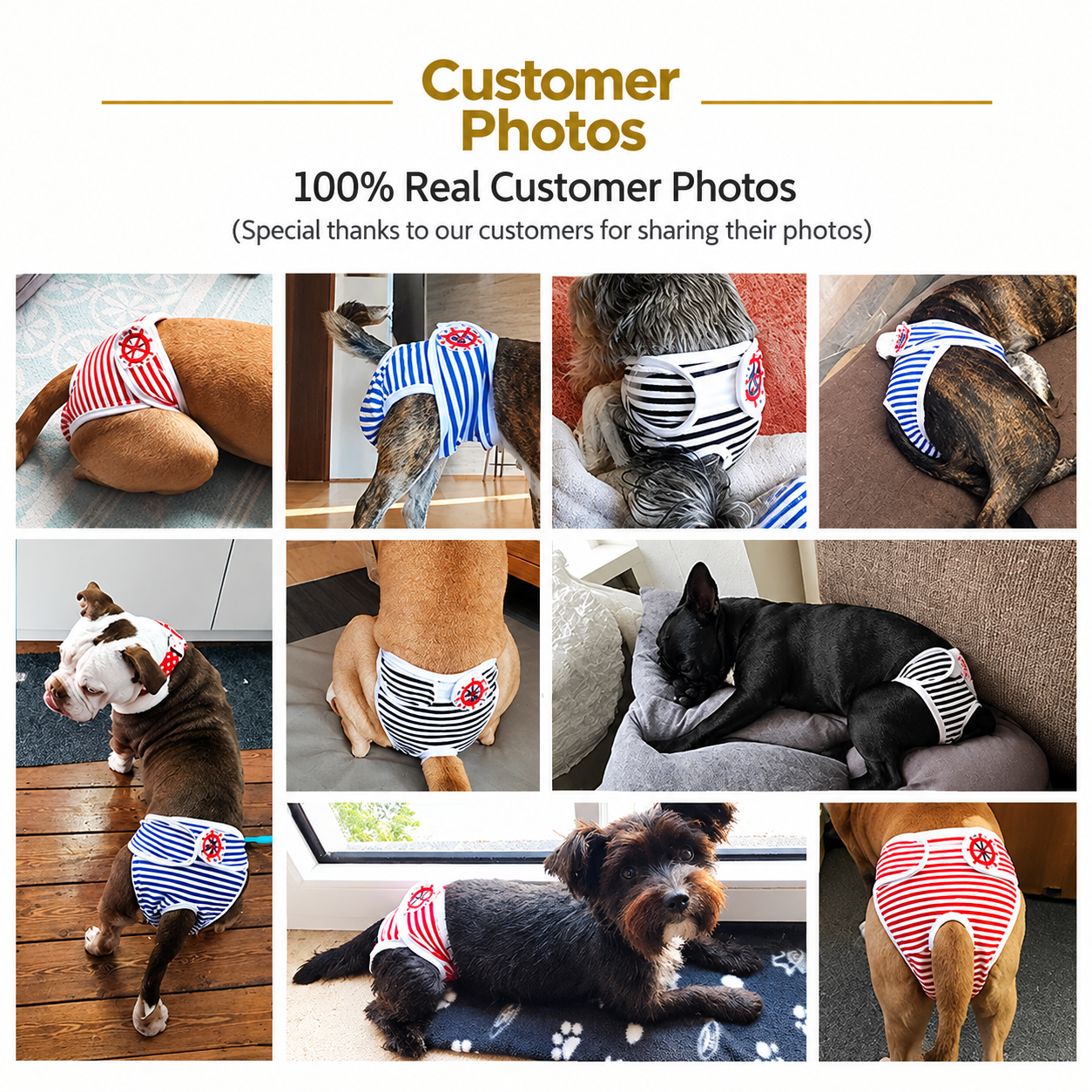 Washable Dog Physiological Underwear with Nautical Striped Design view 7