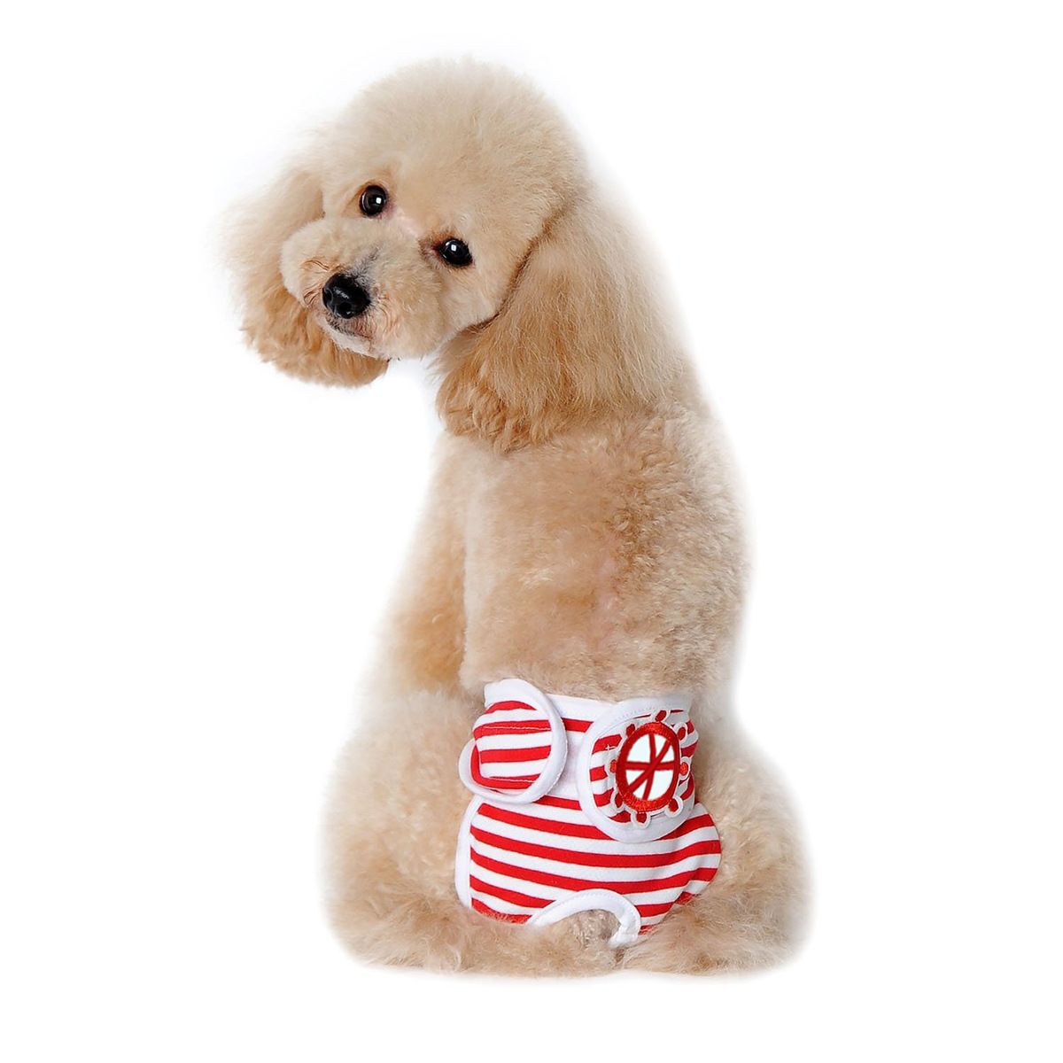 Washable Dog Physiological Underwear with Nautical Striped Design — image 1