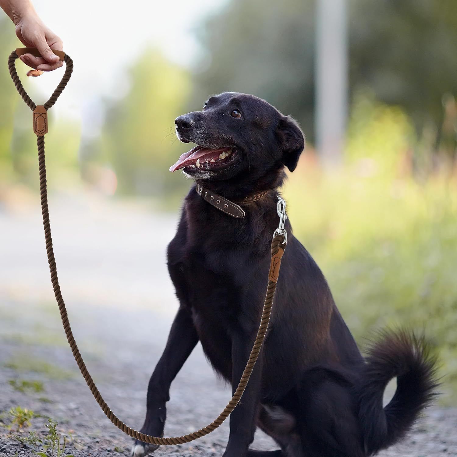 Classic Braided Dog Leash with Genuine Leather Handle and Heavy Duty Metal view 3