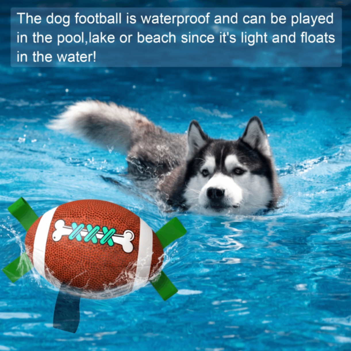 Interactive Dog Football Toy with Pull Tabs for Tug-of-War view 5