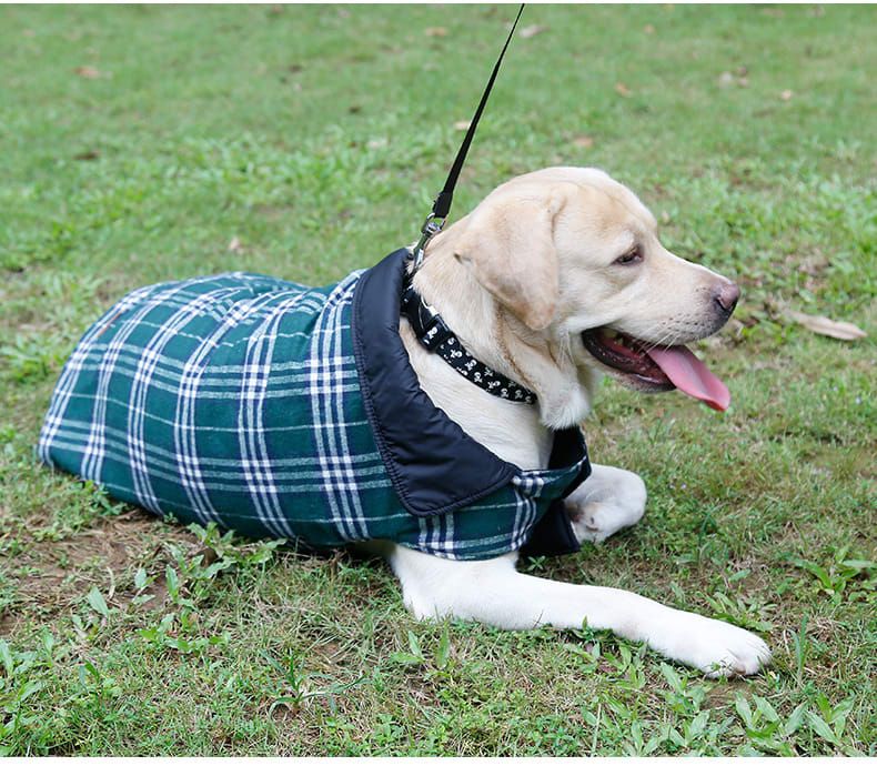 Reversible Winter Dog Coat with Plaid and Quilted Sides view 5