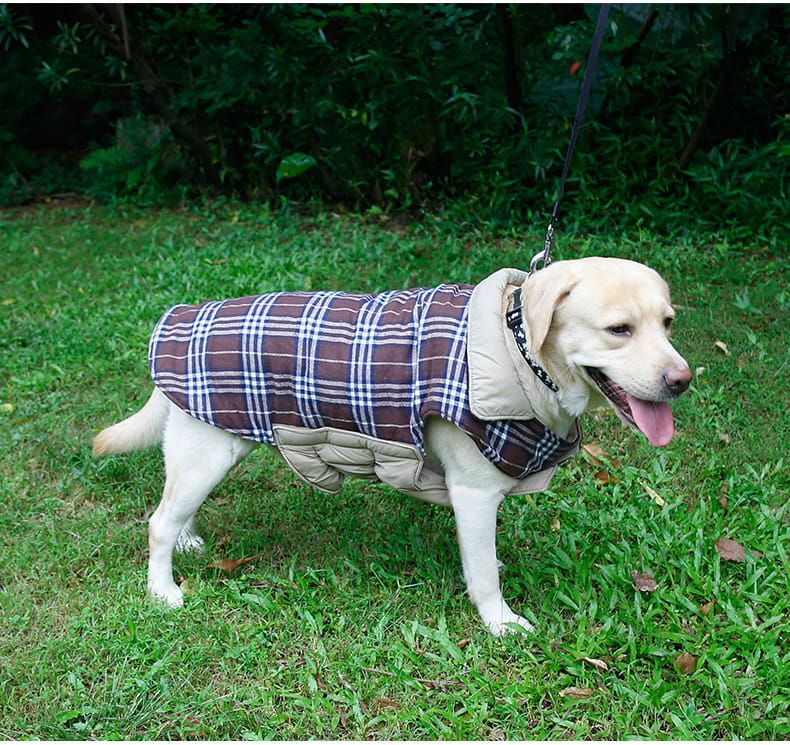 Reversible Winter Dog Coat with Plaid and Quilted Sides view 4