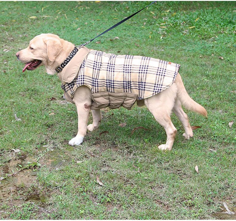 Reversible Winter Dog Coat with Plaid and Quilted Sides view 6