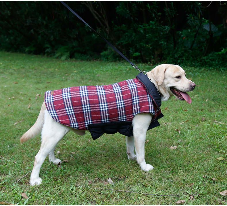 Reversible Winter Dog Coat with Plaid and Quilted Sides view 3