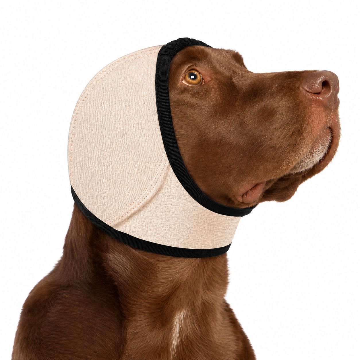 Dog Ear Covers Waterproof Swim Head Wrap Noise Reduction Calming Hood for view 10