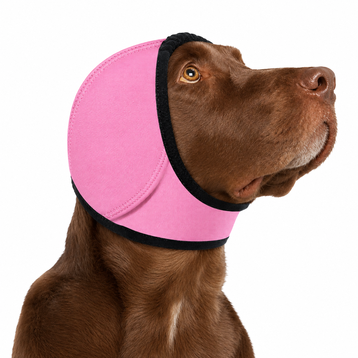 Dog Ear Covers Waterproof Swim Head Wrap Noise Reduction Calming Hood for view 11