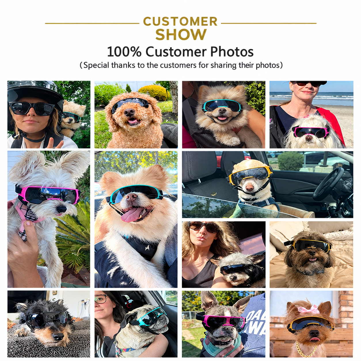 Pet Sunglasses for Small to Medium Dogs UV Protection Windproof Dog Goggles view 11