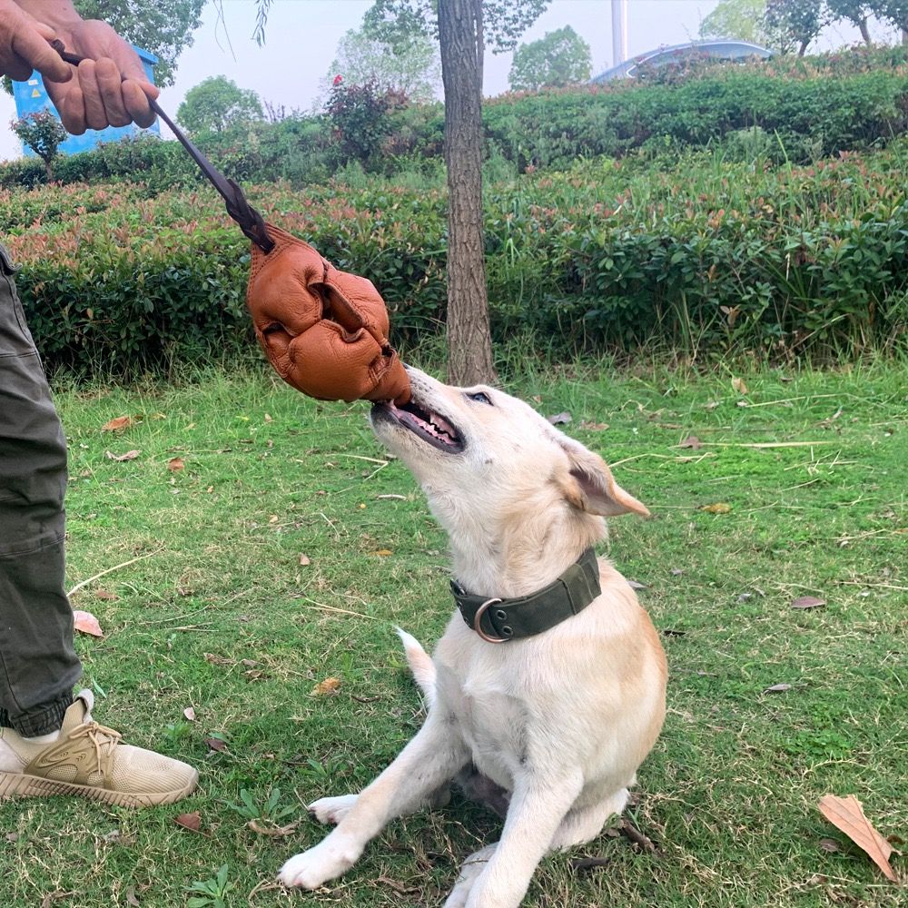 Interactive Leather Chew Ball for Dogs with Durable Rope Handle – Ideal for view 10
