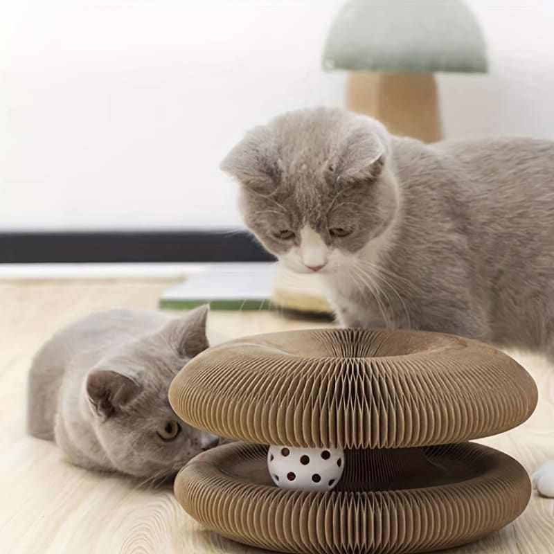 Transformable Magic Accordion Cat Scratcher Toy view 7