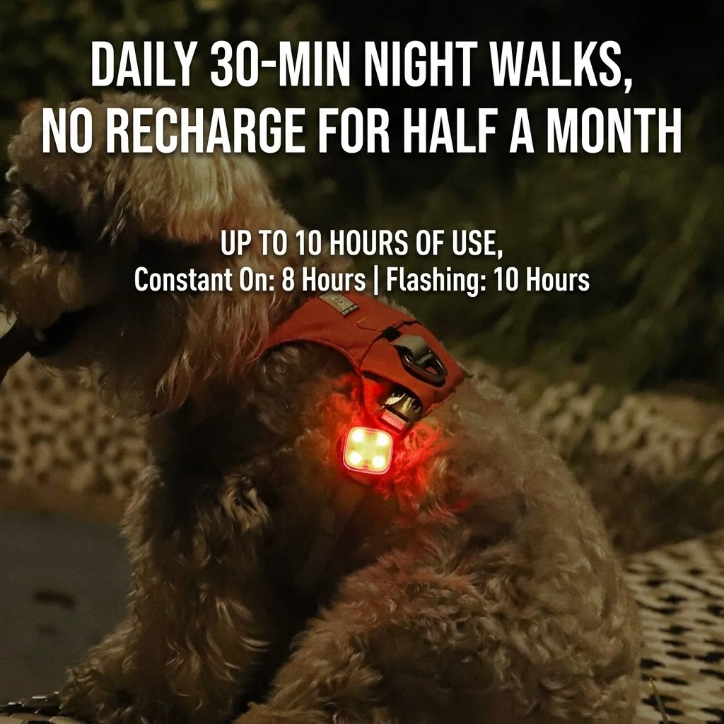 Rechargeable LED Night Safety Light for Dogs - Clip-On Glowing Pendant with view 3