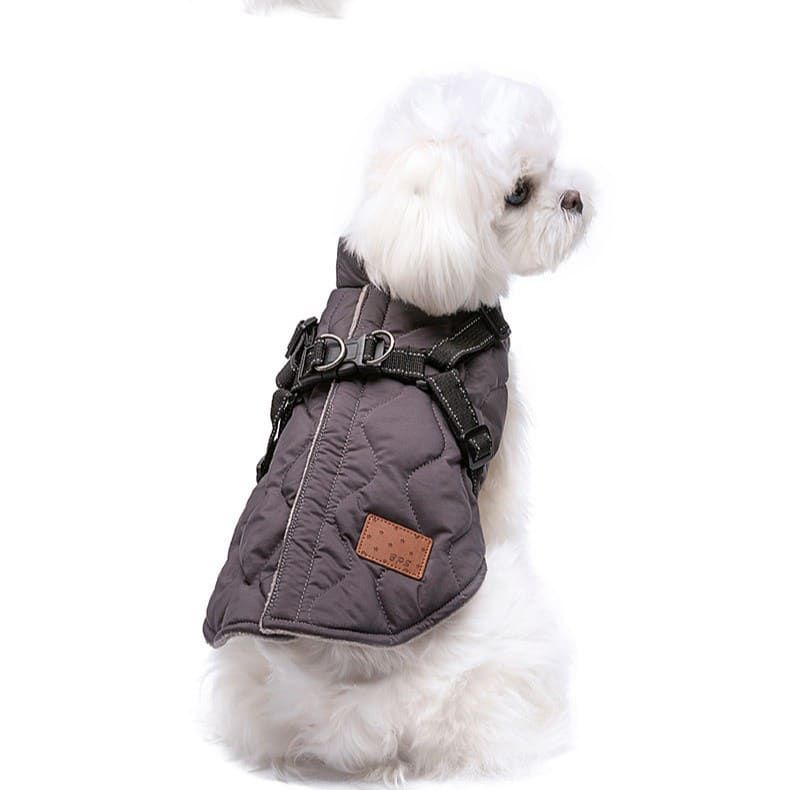 Premium Winter Dog Coat with Built-in Harness view 3