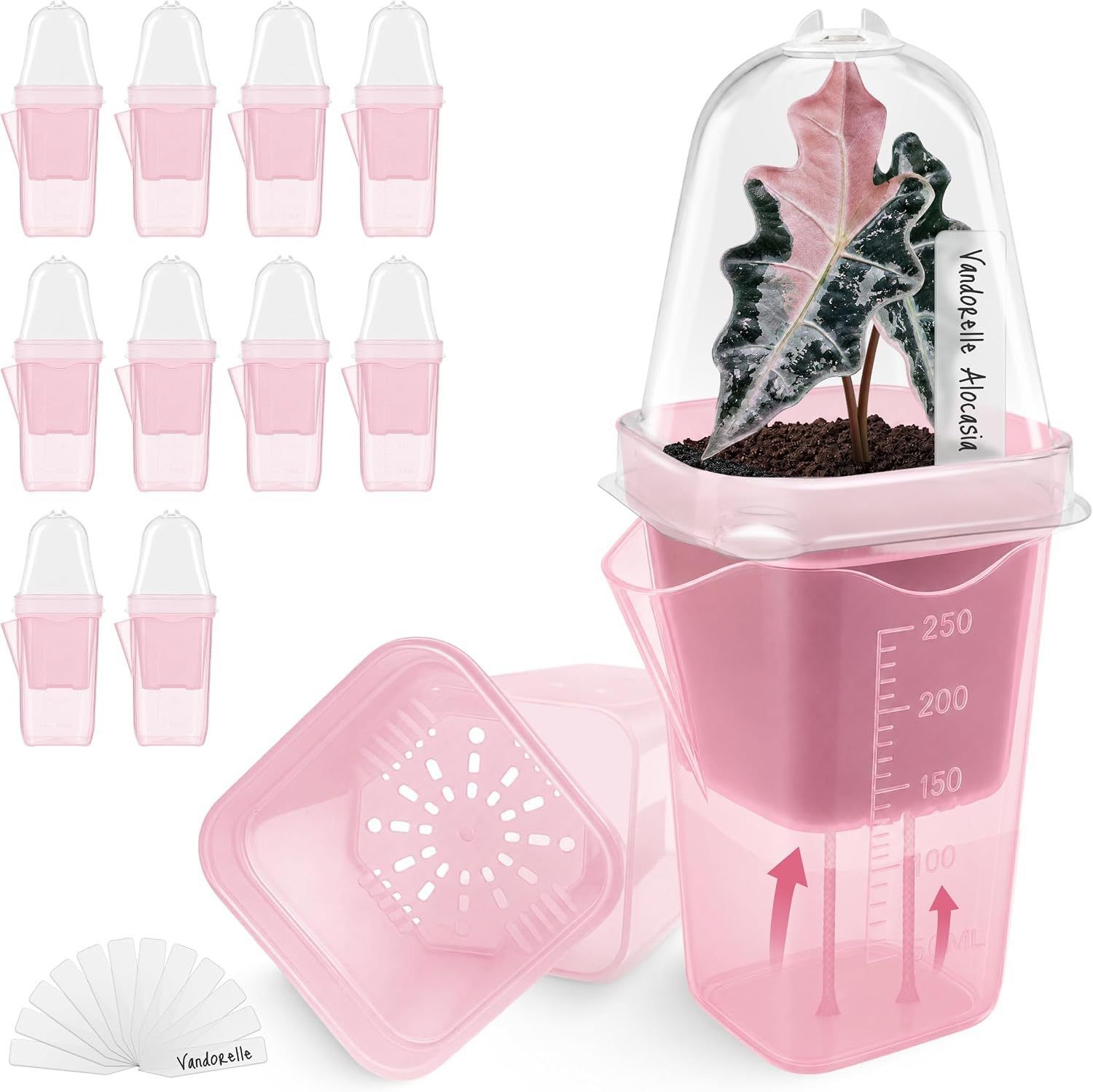 Self-Watering Square Seedling Pot with Adjustable Humidity Dome — image 1
