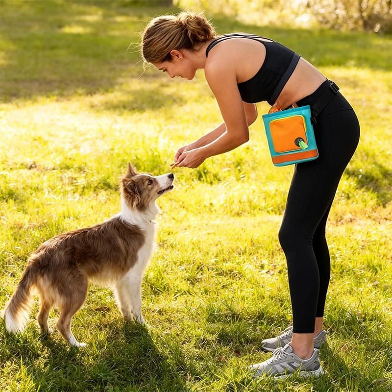 Versatile Dog Training Treat Pouch – Convenient Crossbody & Belt Bag Design view 10