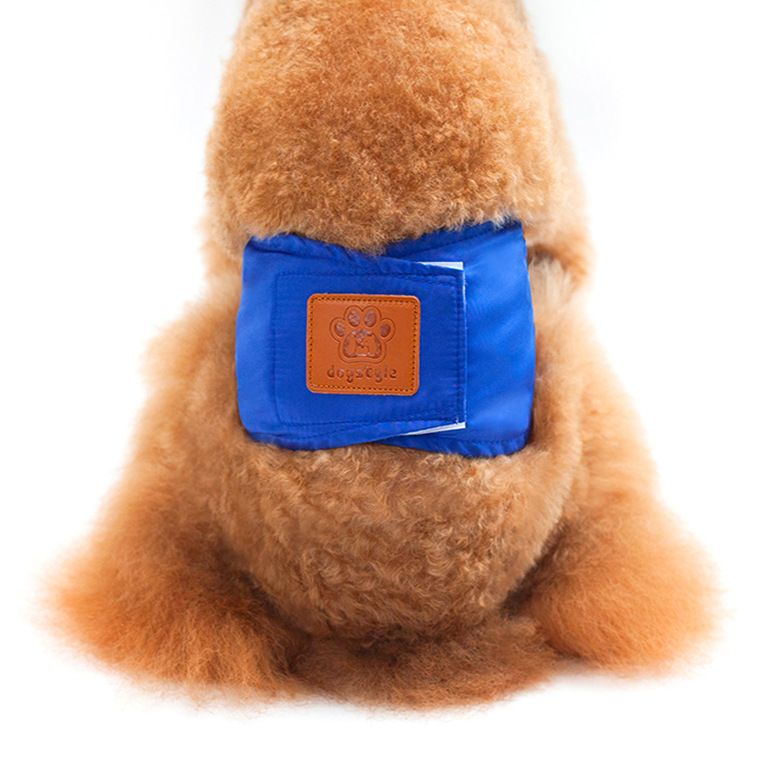 Creative Solid Color Male Dog Physiological Belt Reusable Washable Safety — image 1