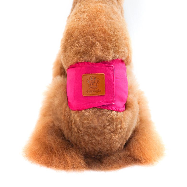 Creative Solid Color Male Dog Physiological Belt Reusable Washable Safety view 10