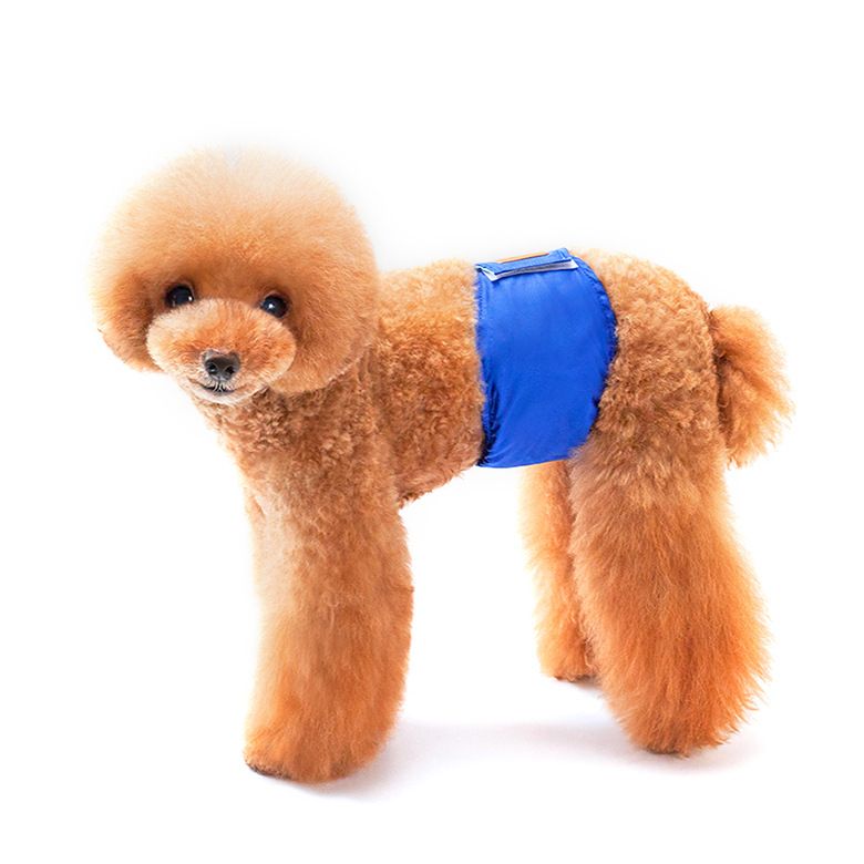 Creative Solid Color Male Dog Physiological Belt Reusable Washable Safety view 6