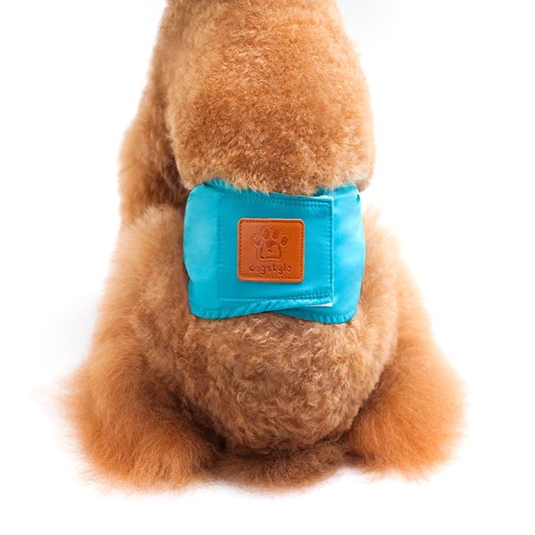 Creative Solid Color Male Dog Physiological Belt Reusable Washable Safety view 7