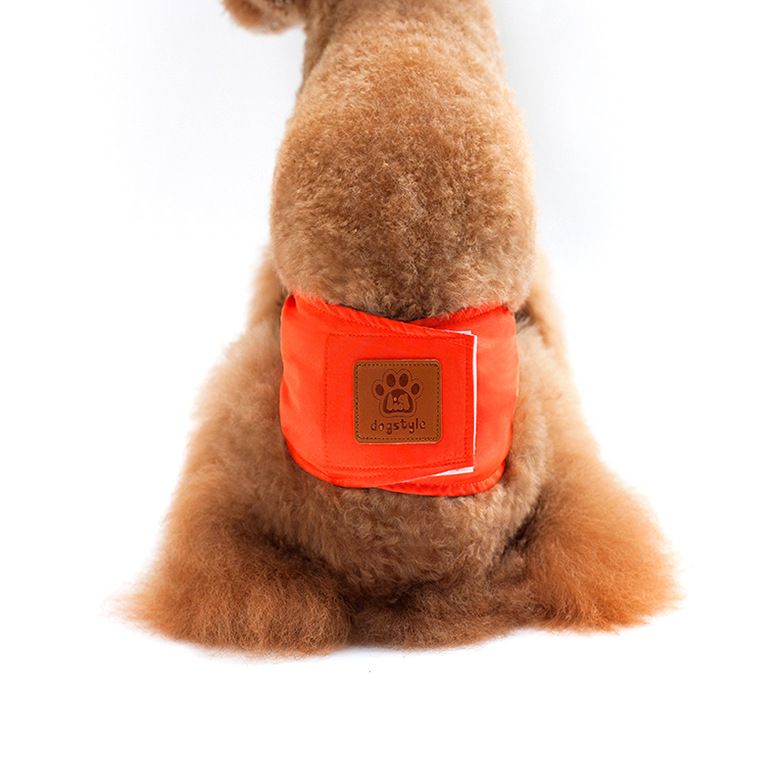 Creative Solid Color Male Dog Physiological Belt Reusable Washable Safety view 8