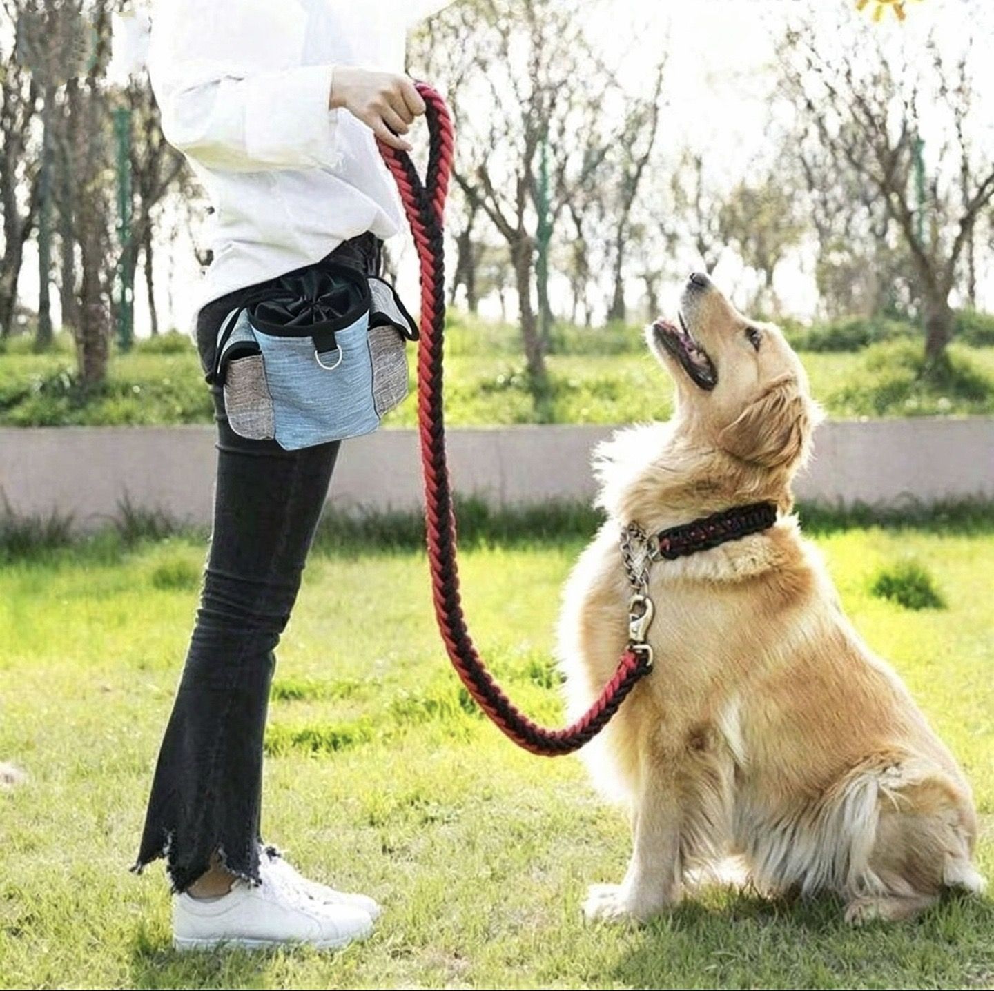 Pet Training Treat Pouch Waist Bag – Portable Hands-Free Fanny Pack for Dog view 7