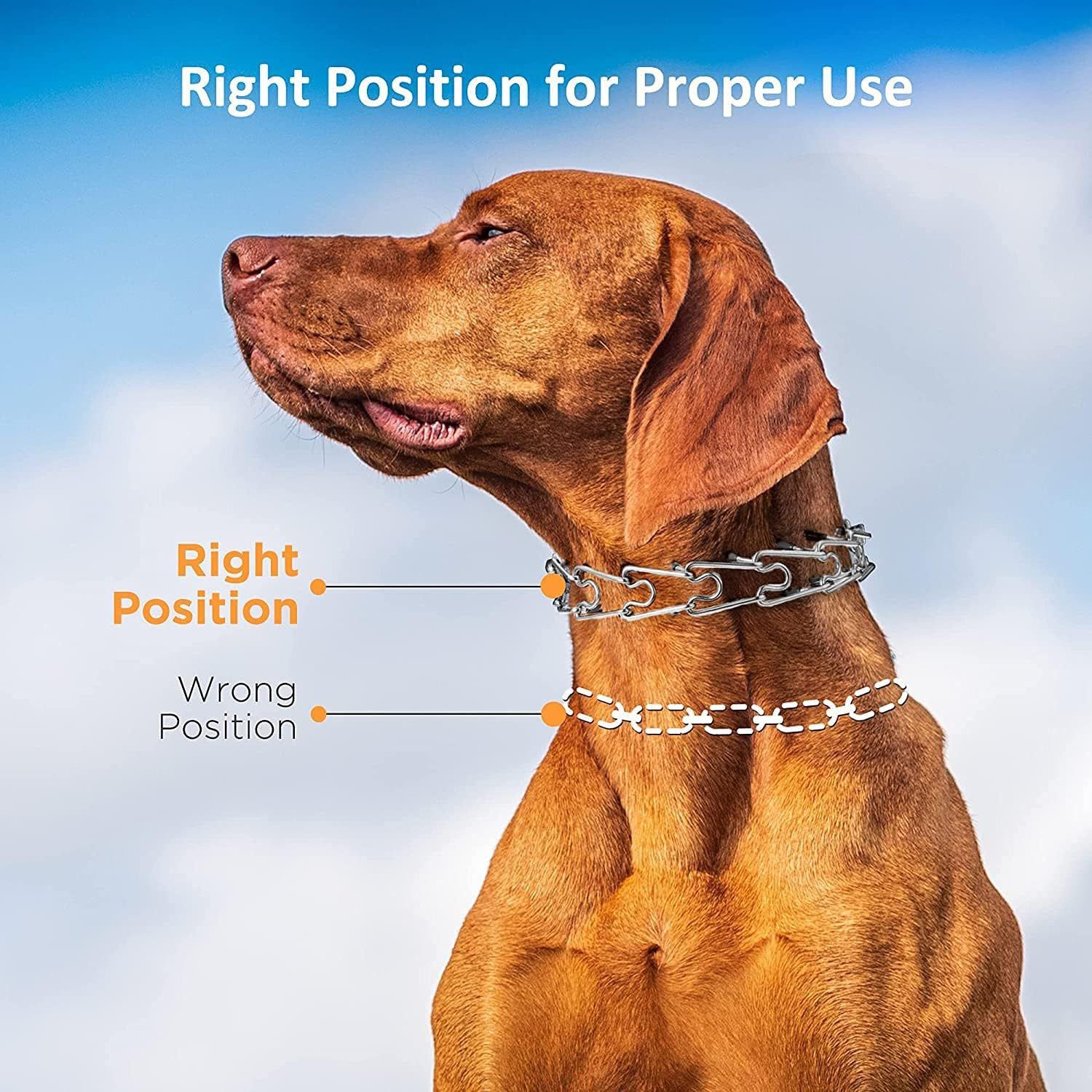 Heavy-Duty Dog Training Collar with Removable Stimulation Links view 6