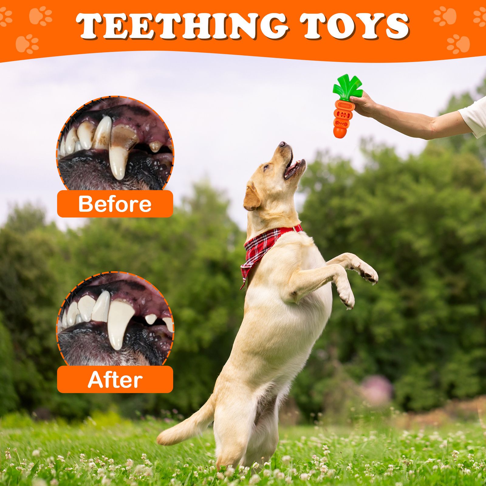 Interactive Carrot-Shaped Dog Chew Toy for Dental Health view 9