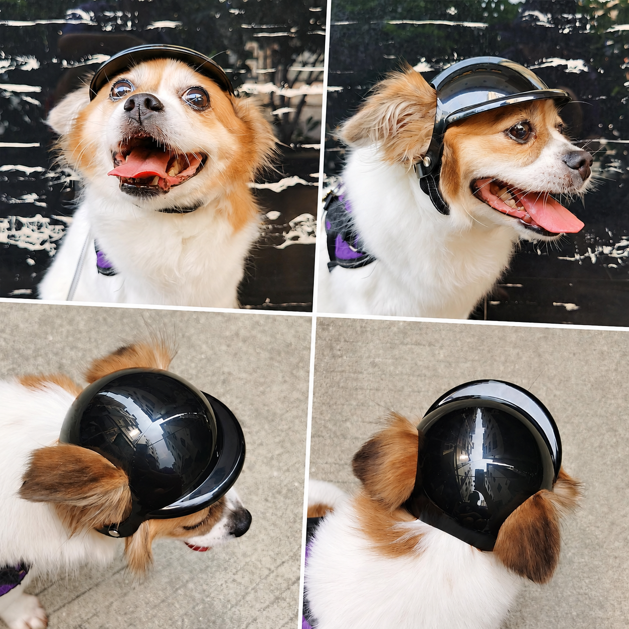 Pet Helmet for Dogs and Cats view 7