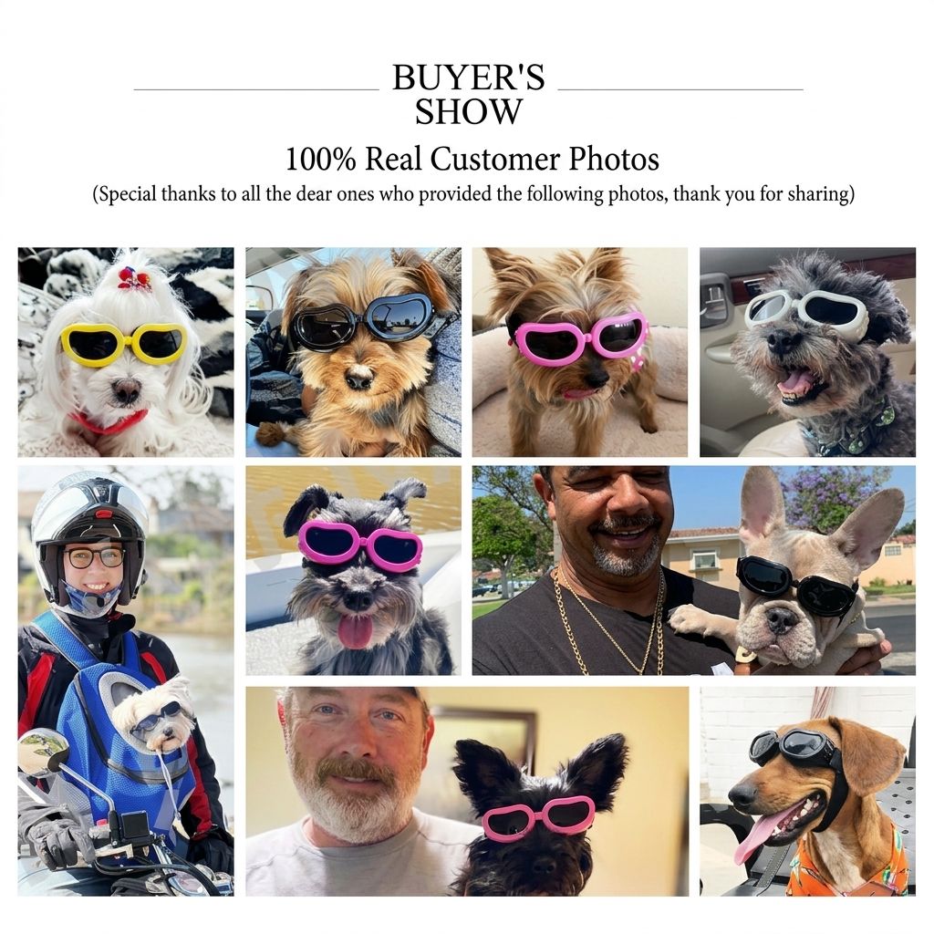 Foldable Pet Sunglasses for Small Dogs and Cats with UV Protection and view 4