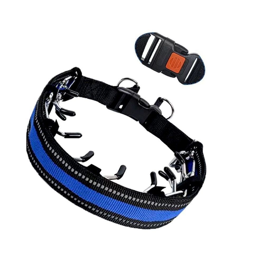 Heavy-Duty Dog Training Spike Collar with Durable Nylon Webbing
