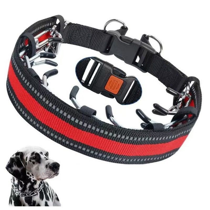 Heavy-Duty Dog Training Spike Collar with Durable Nylon Webbing