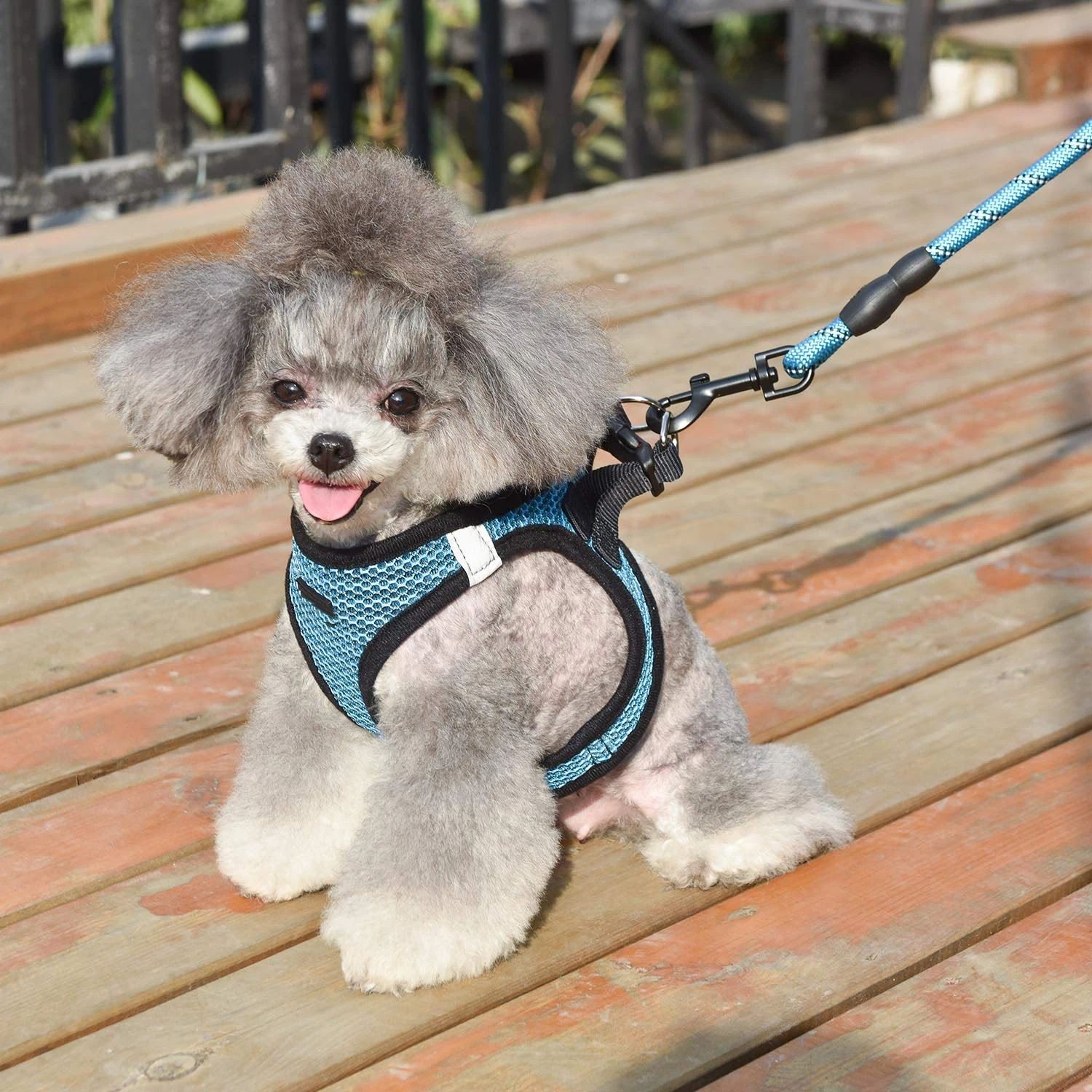 Dog Harness Step-in Breathable Puppy Cat Dog Vest Harnesses for Small Medium view 3