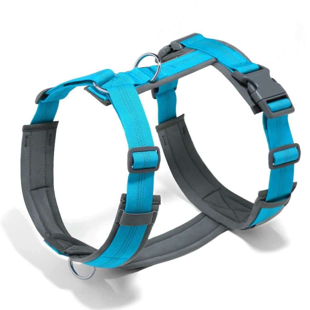 Pet No Pull Dog Harness, Adjustable Nylon Harness with Soft Padding