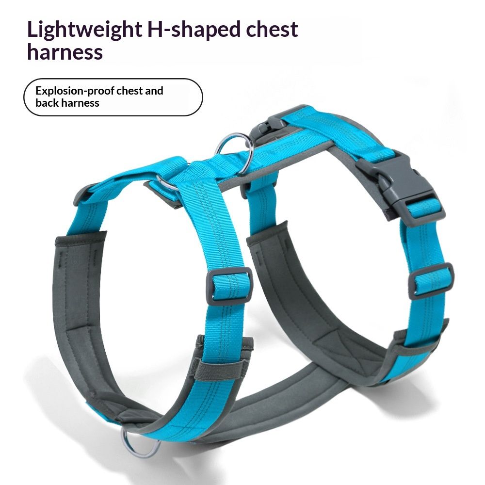 Pet No Pull Dog Harness, Adjustable Nylon Harness with Soft Padding view 2