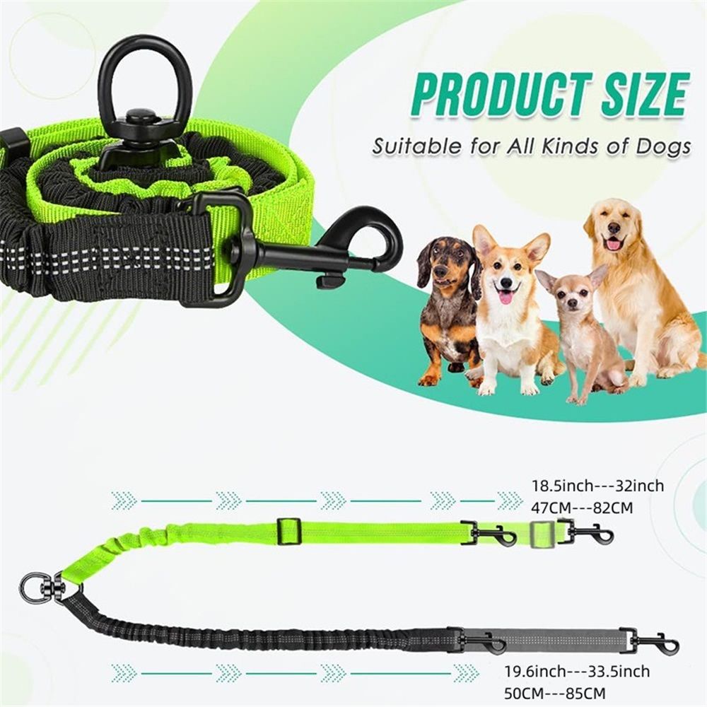2 in 1 Double Dog Leash Attachment Combine Adjustable Strap and Shock view 5