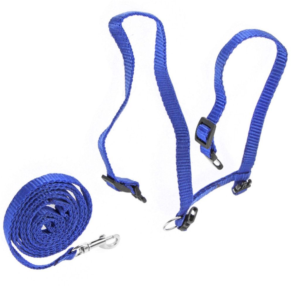 1 Pack Cat Harness and Leash