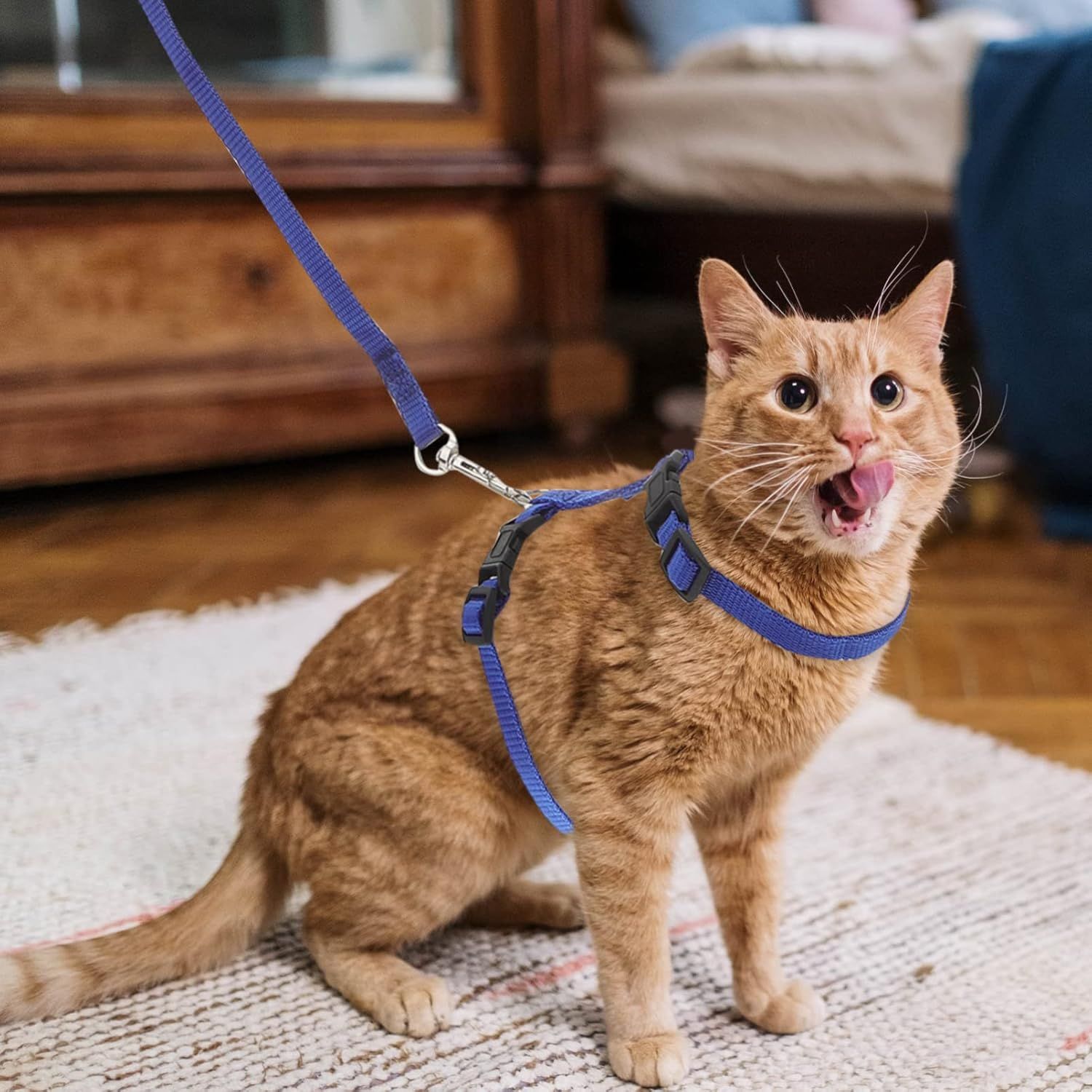 1 Pack Cat Harness and Leash view 3