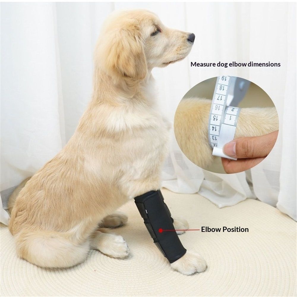 1 pair Dog Canine Front Leg Brace Paw Compression Wraps with Protects Wounds view 3