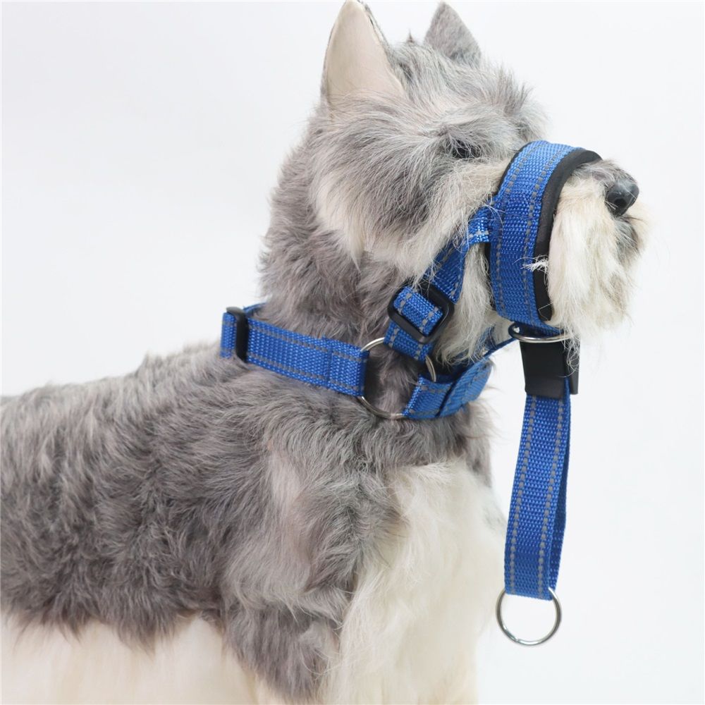 BARKLESS Sturdy No Pull Head Collar for Medium Dogs view 2