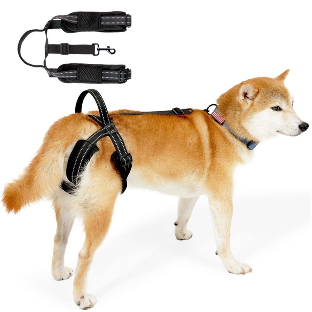 Pet Dog Support Harness Rear Lifting Harness for Back Legs Reflective Dog