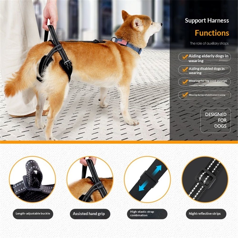 Pet Dog Support Harness Rear Lifting Harness for Back Legs Reflective Dog view 2