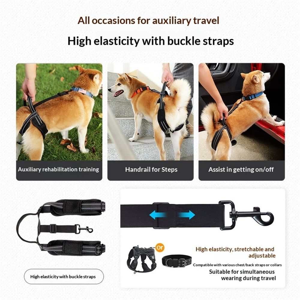 Pet Dog Support Harness Rear Lifting Harness for Back Legs Reflective Dog view 5