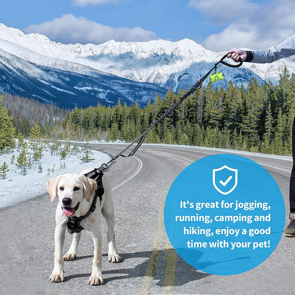 Heavy Duty Dog Leashes for Large Dogs view 3