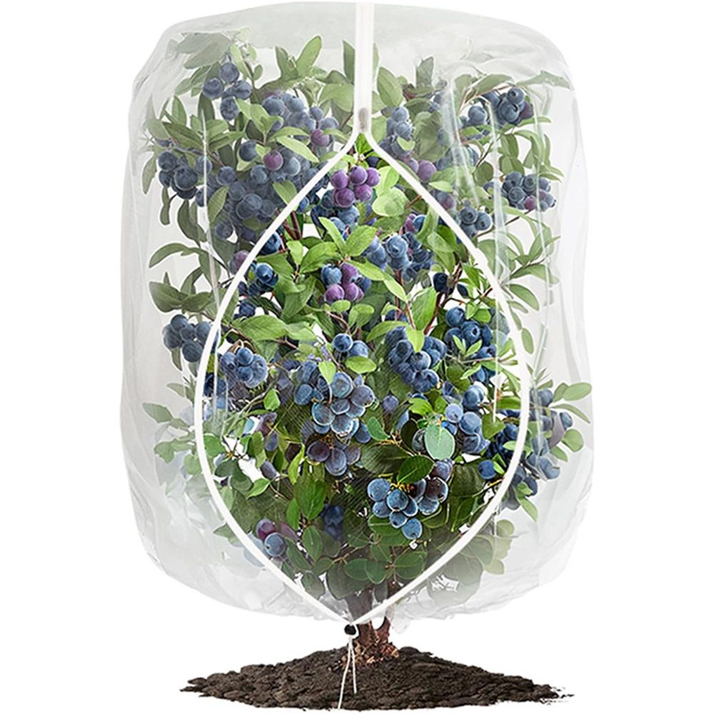 2 PCS Large Fruits Tree Netting Cover for Garden view 2