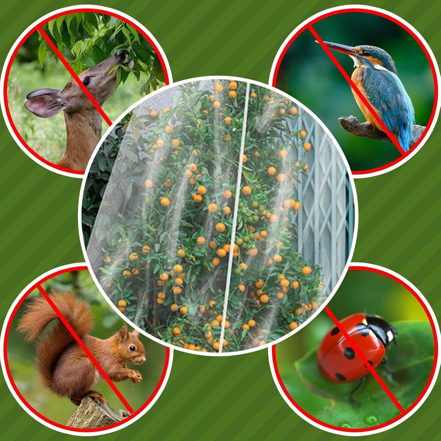 2 PCS Large Fruits Tree Netting Cover for Garden view 5