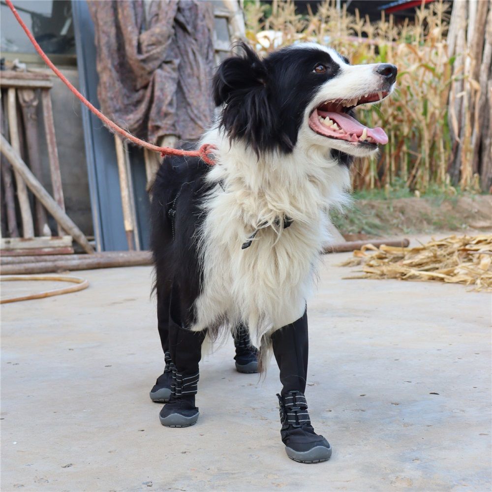 Dog Suspender Boots, Tall Dog Boots Anti-Slip & Fall Waterproof Shoes view 5