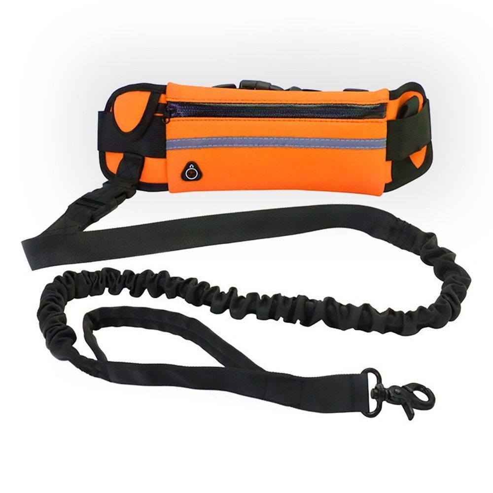 Hands Free Dog Leash with Zipper Pouch