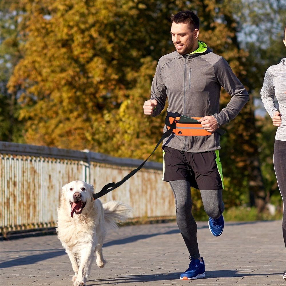 Hands Free Dog Leash with Zipper Pouch view 3